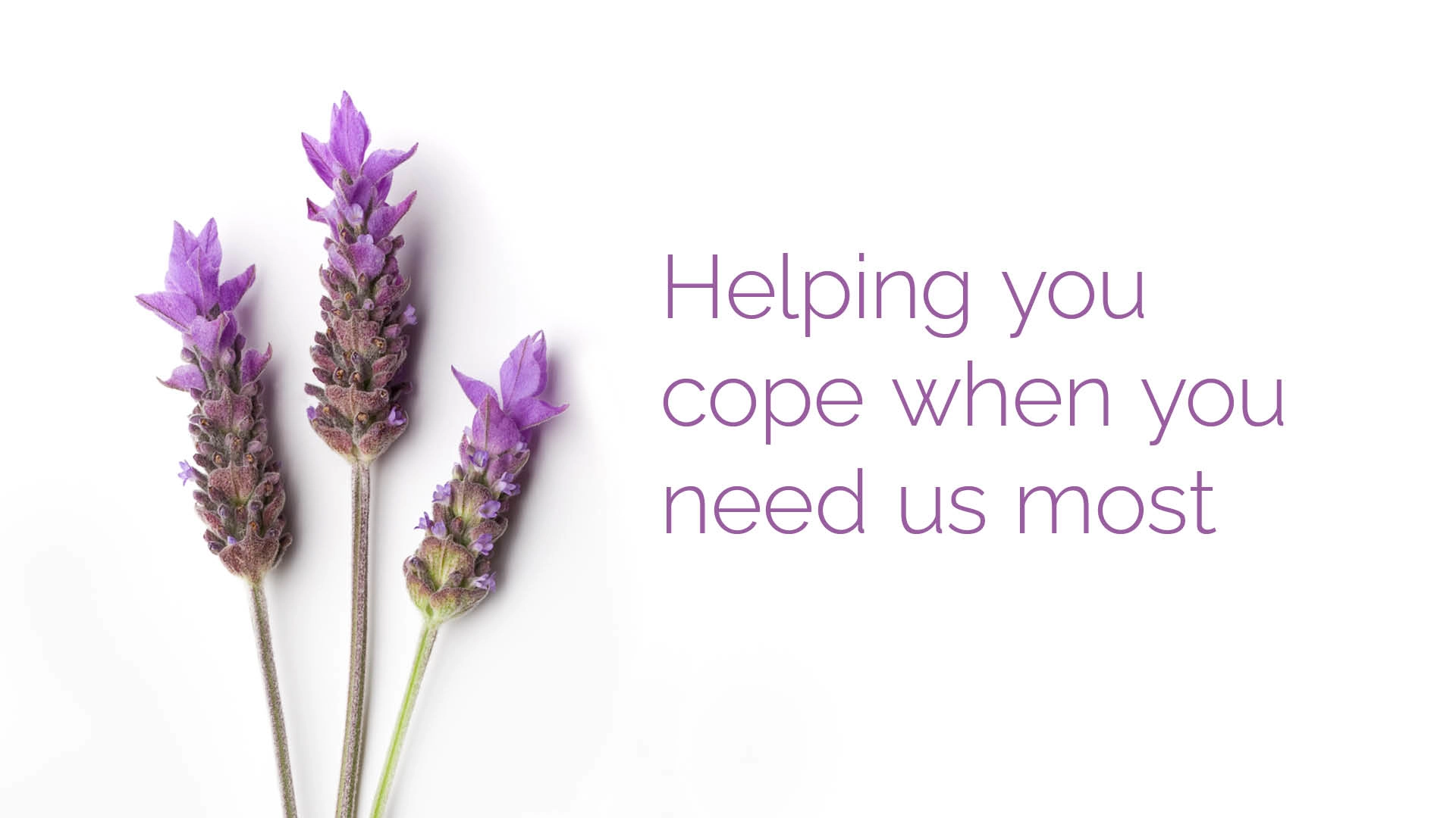 The Renfrewshire Bereavement Network